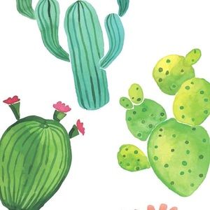 Meet your Posher, Fabiola